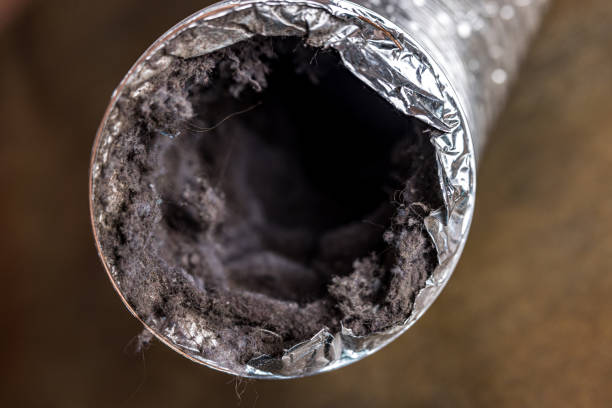Air Duct Mold Removal in Marysville, CA